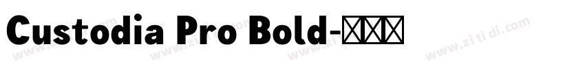 Custodia Pro Bold字体转换